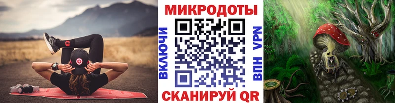 купить наркотик Кашин omg зеркало Псилоцибиновые грибы Cubensis